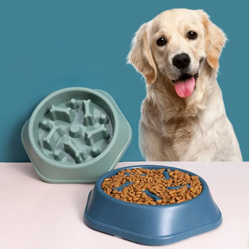 Slow Feeder Dog Bowl – Stops Bloating & Fast Eating