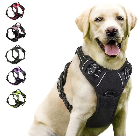 Dog collar