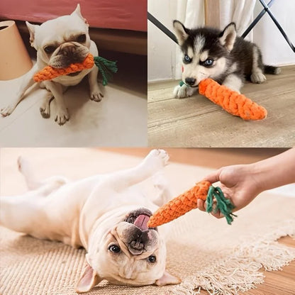 Brinquedo para Cão e Gato Cenoura