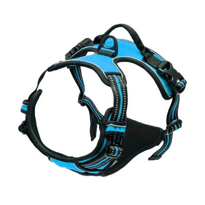 Dog collar