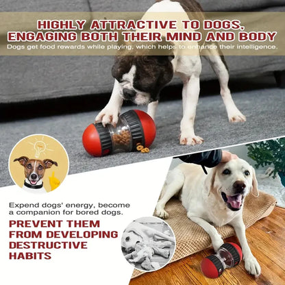 Interactive Toy for Dogs