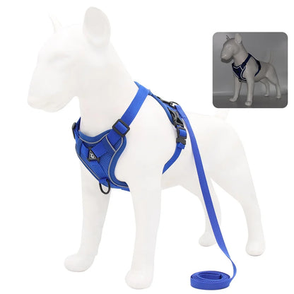 Dog and Cat Leash