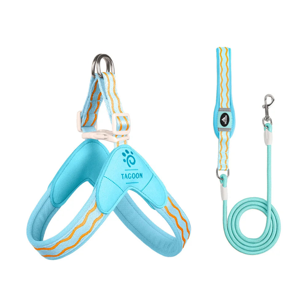 Dog leash