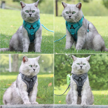 Dog and Cat Leash