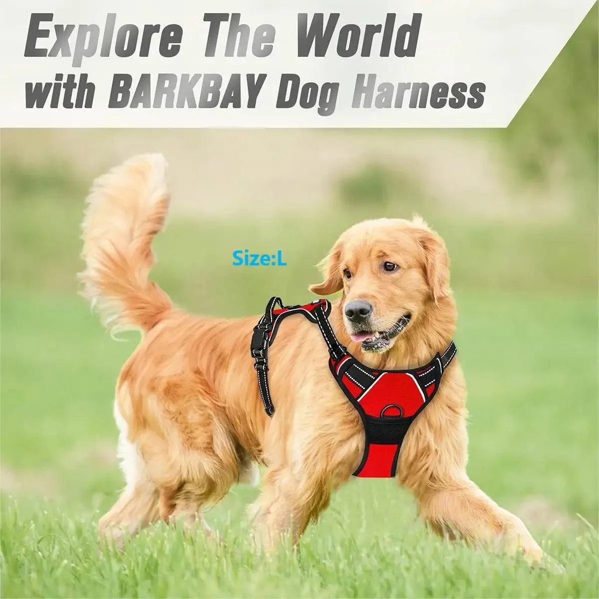 Dog collar