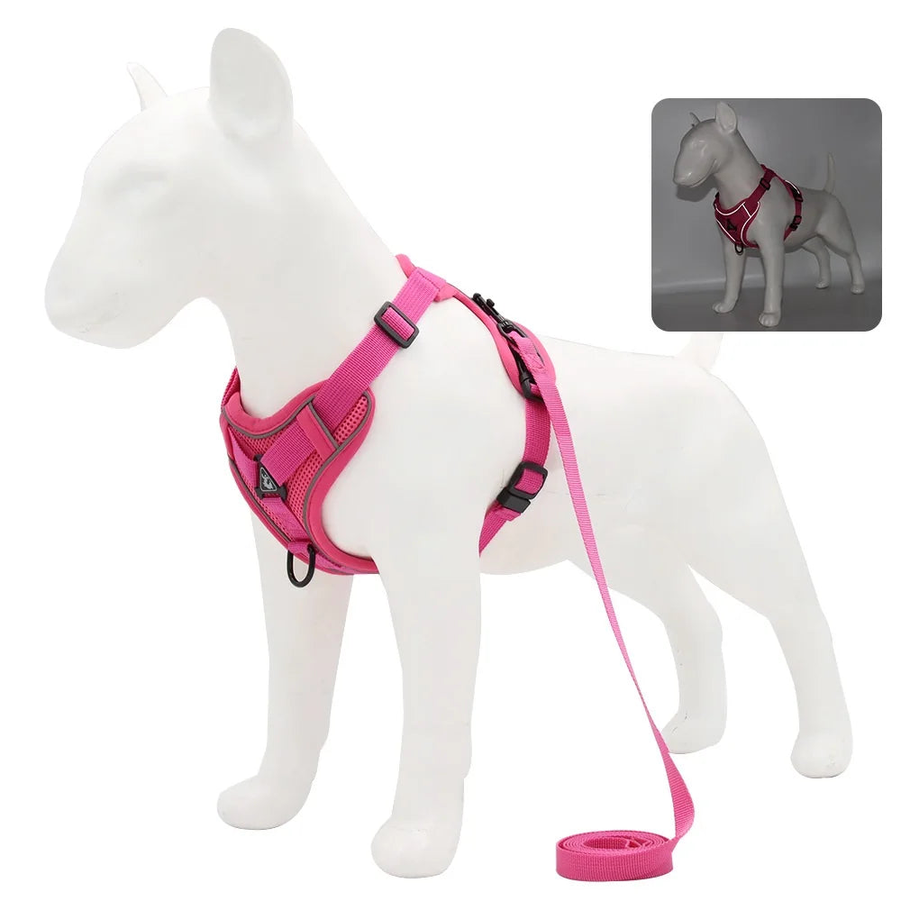 Dog and Cat Leash
