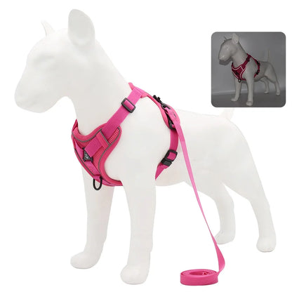 Dog and Cat Leash