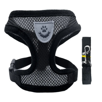 Breathable Collar For Dogs and Cats