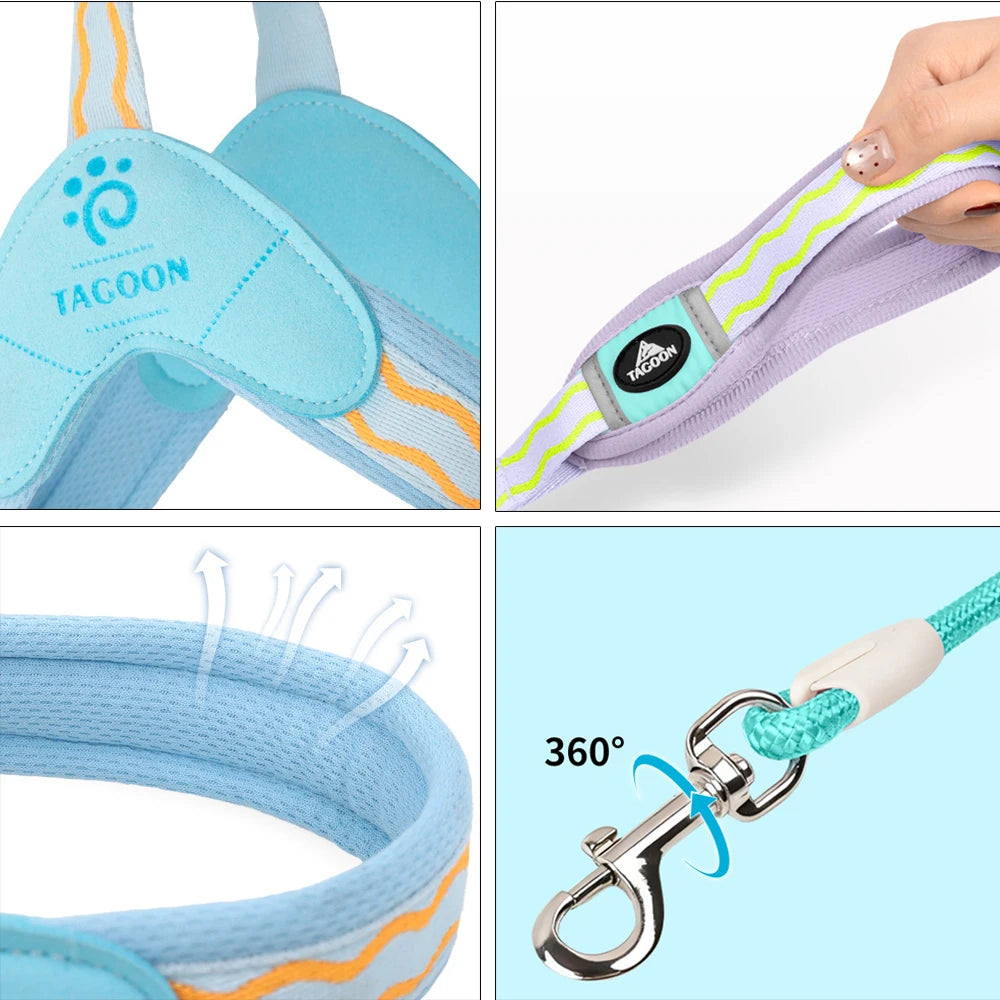 Dog leash