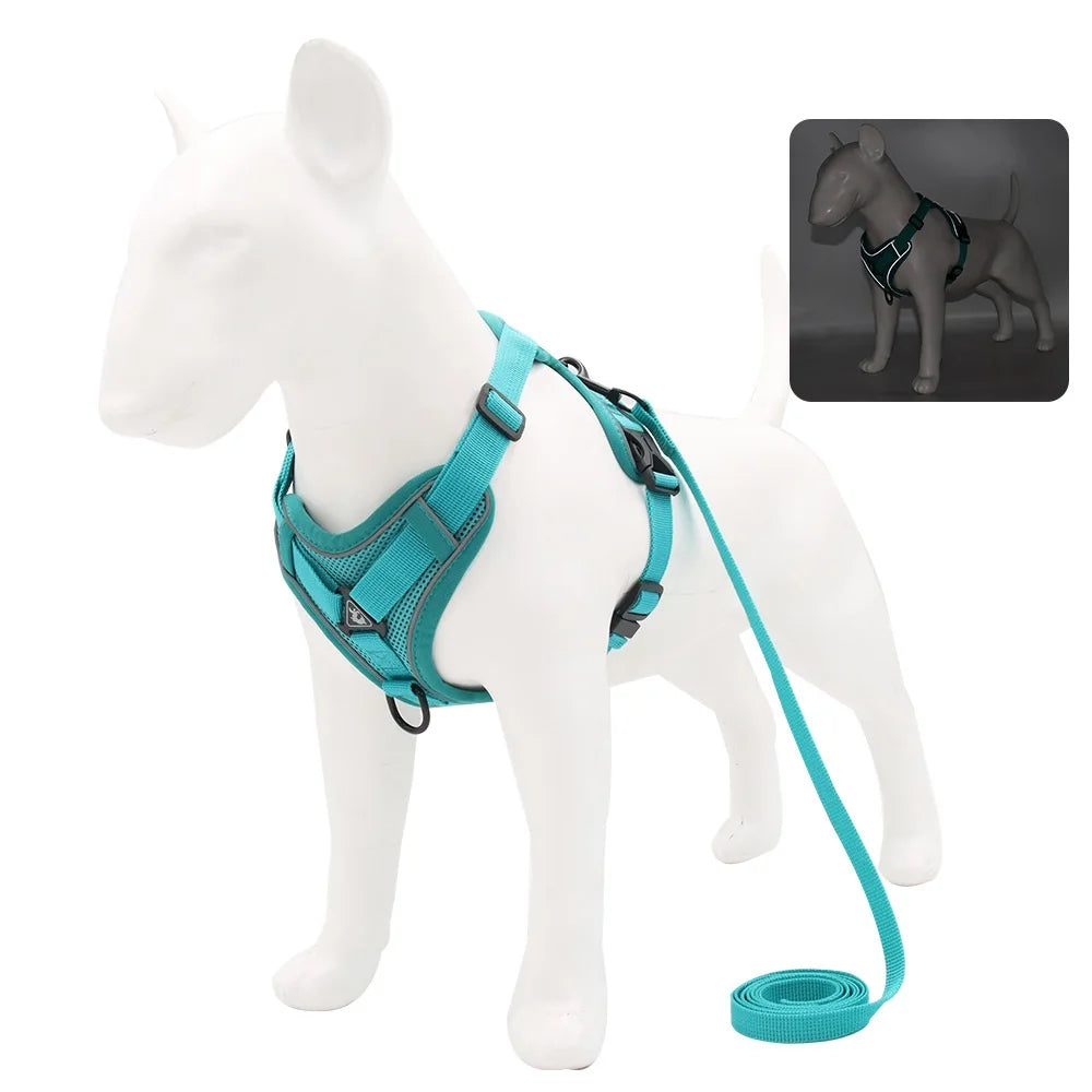 Dog and Cat Leash
