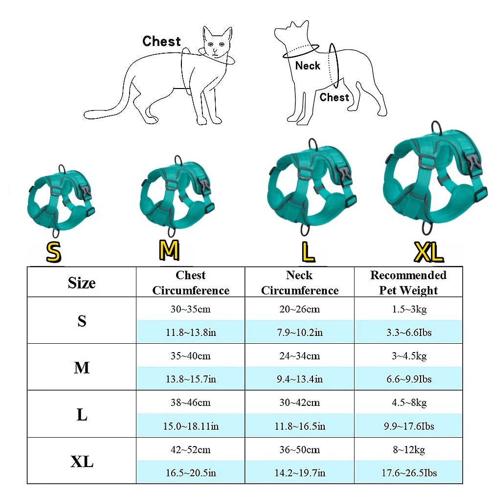 Dog and Cat Leash