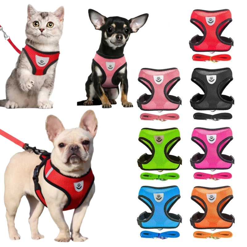 Breathable Collar For Dogs and Cats