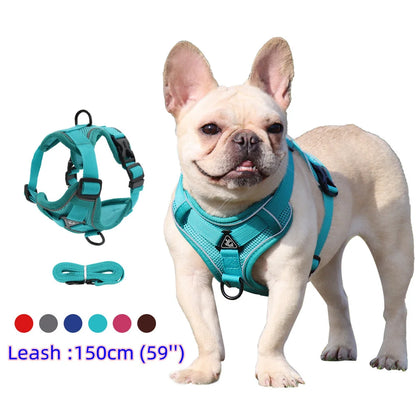 Dog and Cat Leash