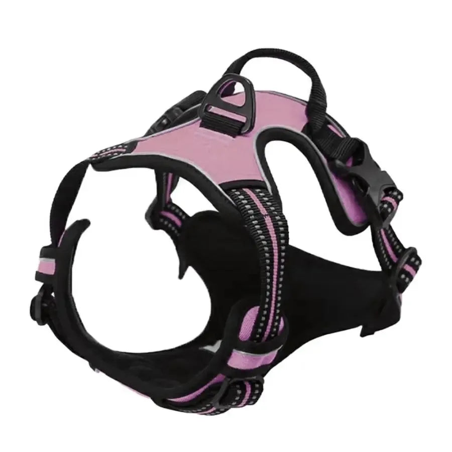 Dog collar