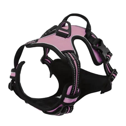 Dog collar