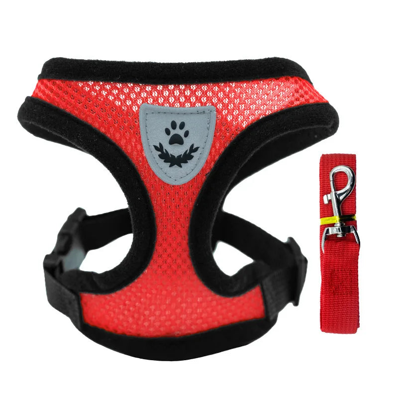 Breathable Collar For Dogs and Cats