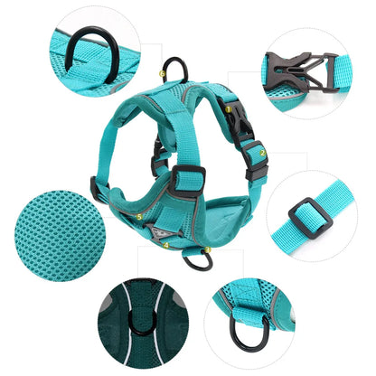 Dog and Cat Leash