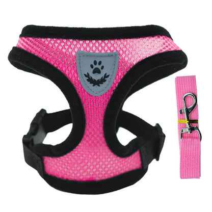 Breathable Collar For Dogs and Cats