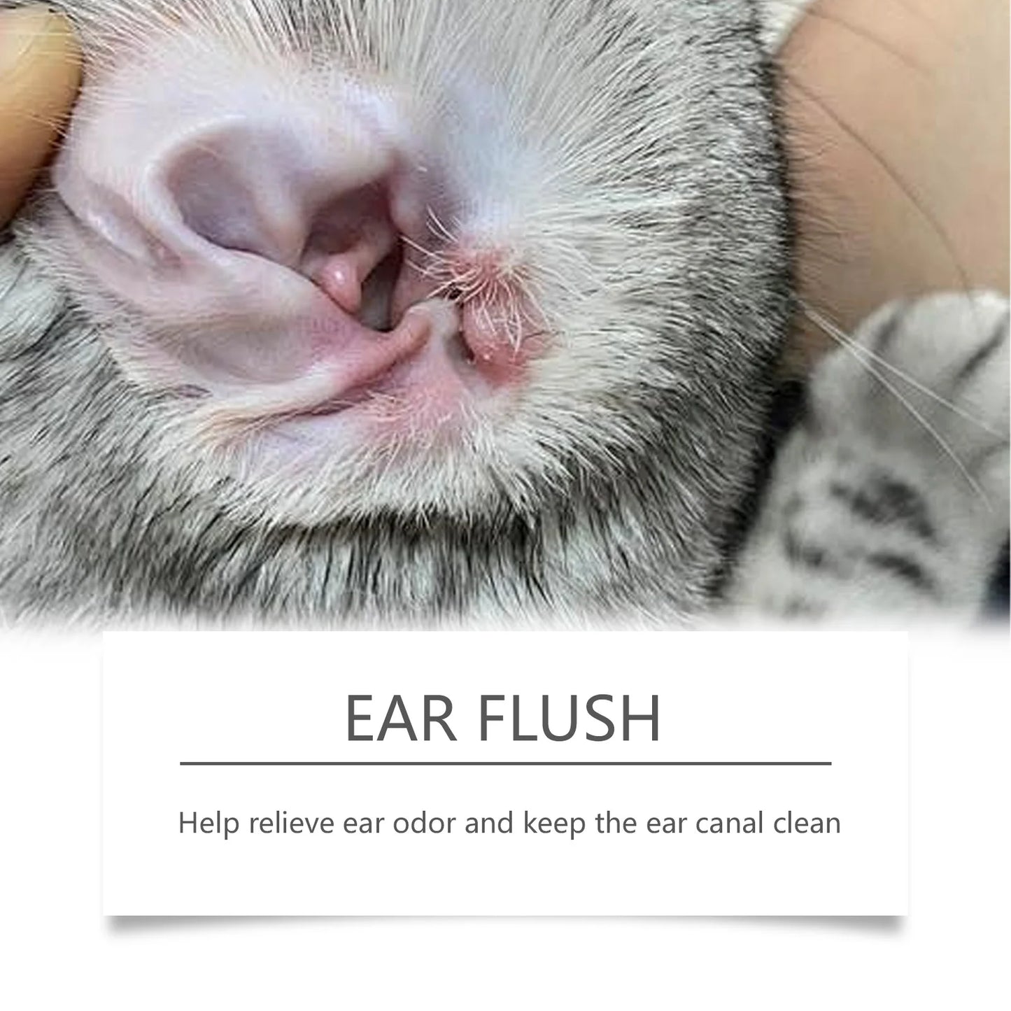 Cat Dog Ear Cleanser Relieve Discomfort Remove