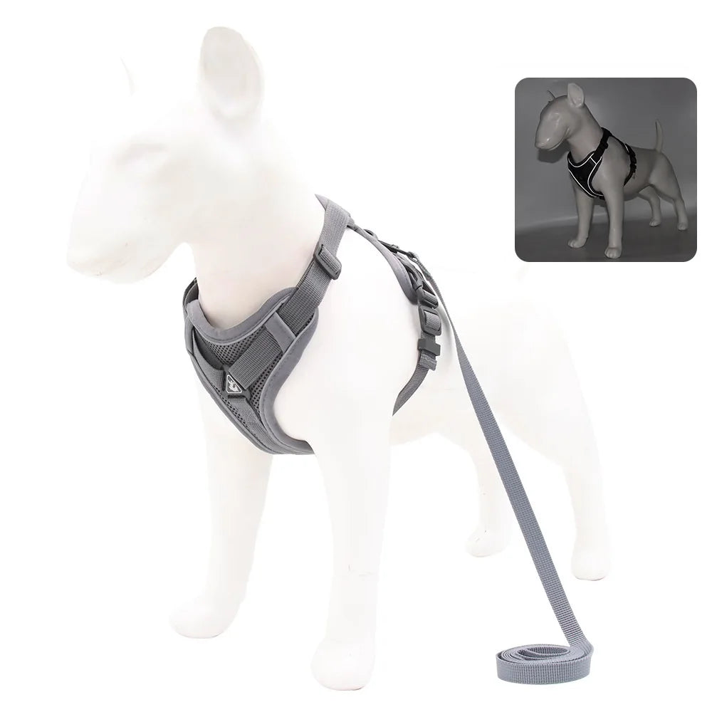 Dog and Cat Leash