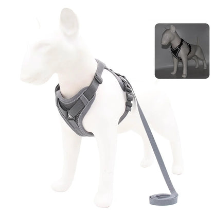 Dog and Cat Leash