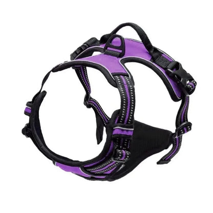 Dog collar