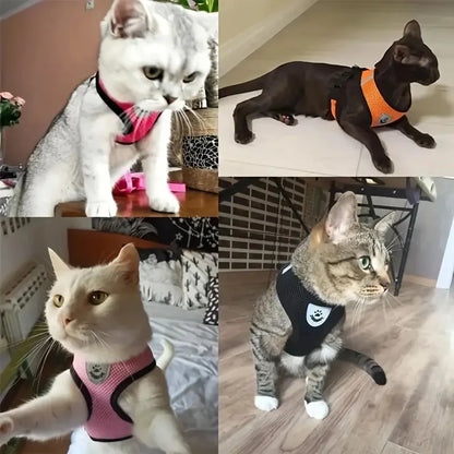 Breathable Collar For Dogs and Cats