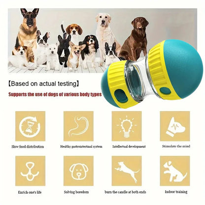 Interactive Toy for Dogs