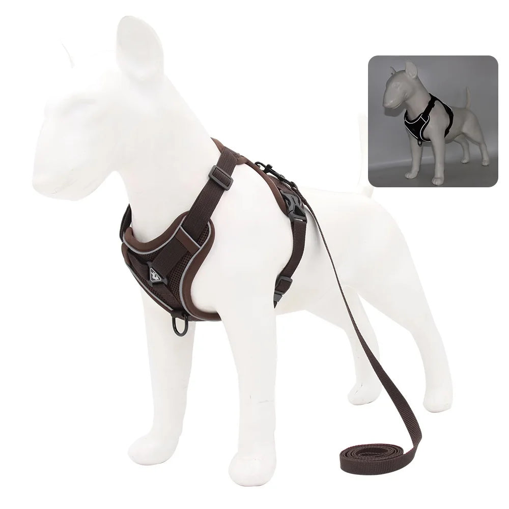 Dog and Cat Leash