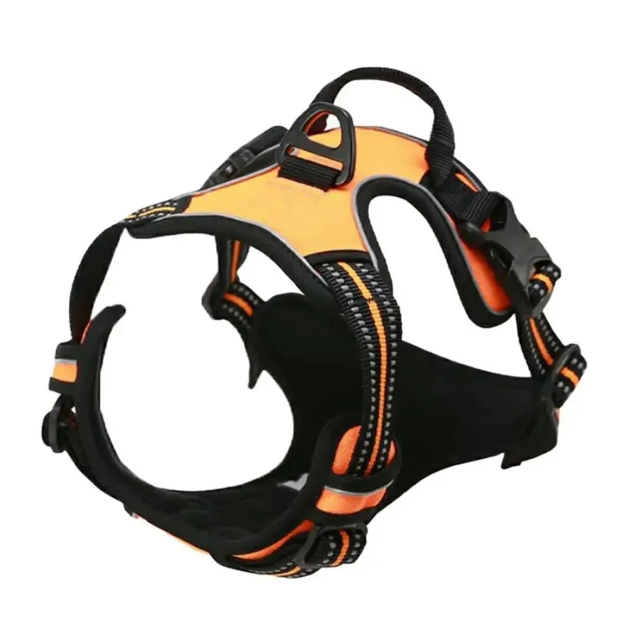 Dog collar