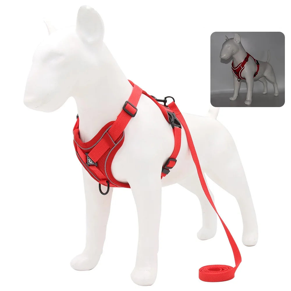 Dog and Cat Leash