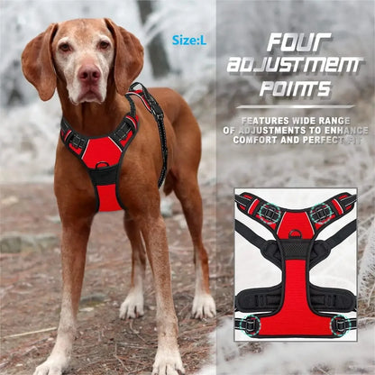 Dog collar