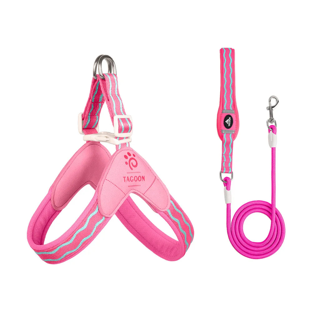 Dog leash
