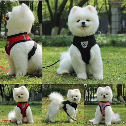 Breathable Collar For Dogs and Cats