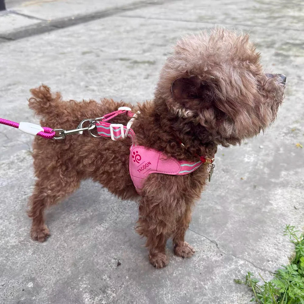 Dog leash